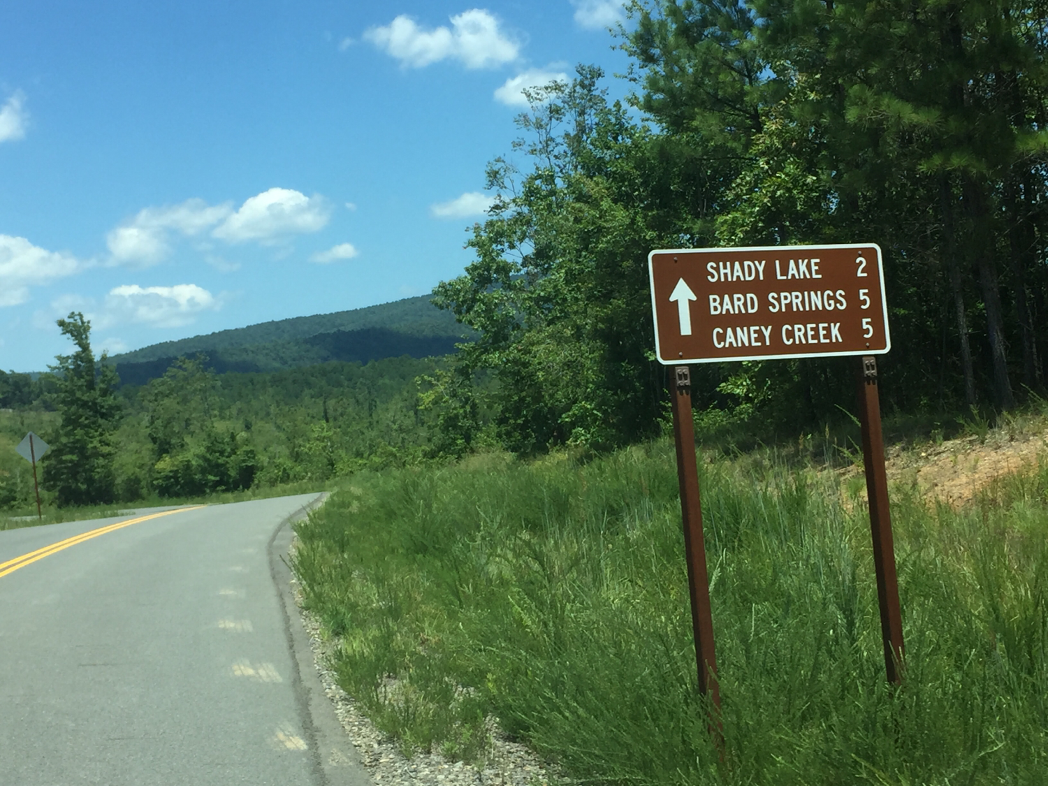 Finding Your Spot: A Guide to Parking in Ouachita National Forest