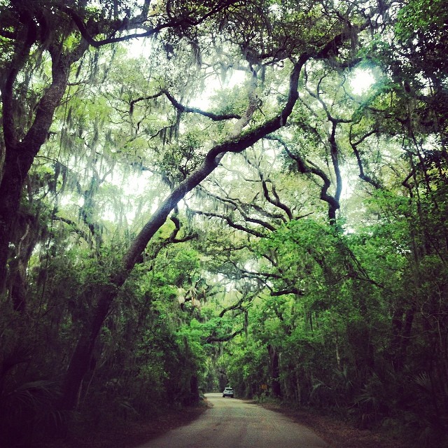 Fort Clinch State Park Photo | RV Parking